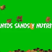 Alimentos-sanos-y-nutritivos