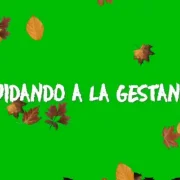 Cuidado-a-la-getante