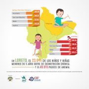 Desnutrición crónica y anemia