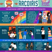 Infografia_sin_arcoiris