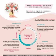 Menstruación