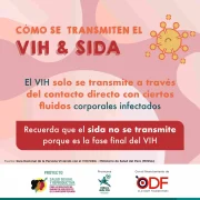 VIH-Sida2_1