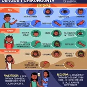 infografia_Zika