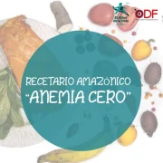 informe_recetario