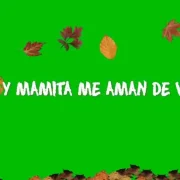 papito-y-mamita-me-aman-de-verdad